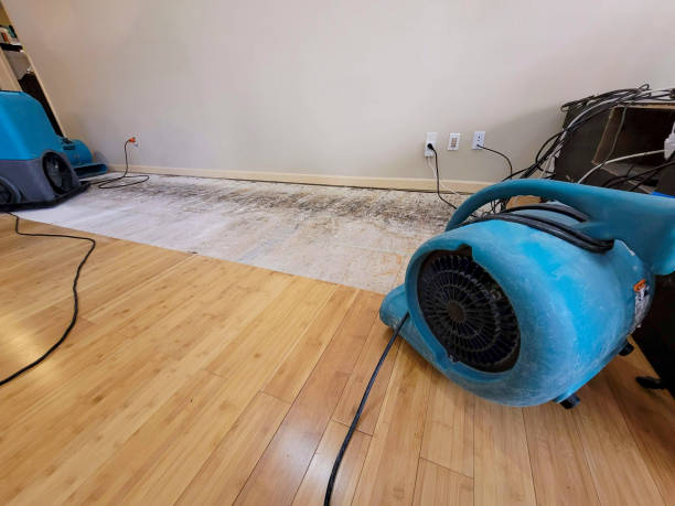 Reliable Basement Flood Cleanup contractor in Harmony, NC by Hirex Water Damage