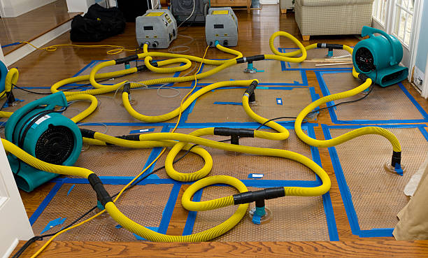 Professional Basement Flood Cleanup technician working in Harmony, NC